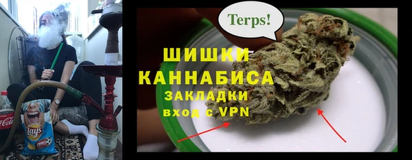 гидропоника Заводоуковск