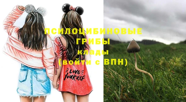 соль курить ск Заволжье