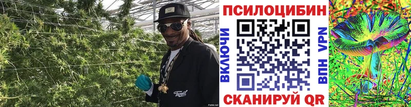 Купить где  Дудинка  Псилоцибиновые грибы MAGIC MUSHROOMS 